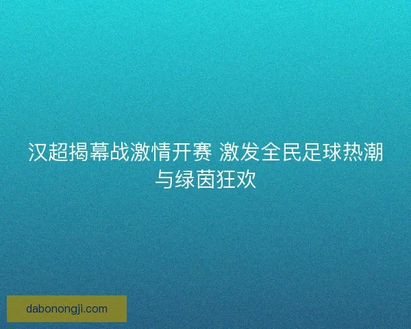 汉超揭幕战激情开赛 激发全民足球热潮与绿茵狂欢